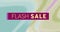 Animation of flash sale on pastel colorful background