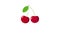 Animation footage cartoon illustration of popping red ripe sweet cherries on white background. Healthy plant based diet