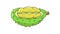 Animation forms a durian fruit icon