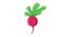 Animation forms a red radish icon