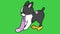 Animation gray dog on green background.
