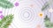 Animation of green tropical plants and flowers over circles on white background