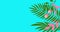 Animation of green tropical plants over colorful striped background