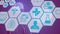 Animation of hexagons with scientific icons over human model on violet background