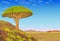 Animation landscape: a dragon blood tree on the hill, the African valley, mountains, the cloudy sky.