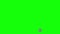 Animation of mouse clicking subscribe button and bell notification with green screen chroma key background. Subscribe