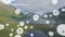 Animation of network of profile icons agains aerial view of grassland