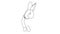 Animation of one line drawing of cute rabbit for brand business logo identity. Adorable bunny animal mascot concept for