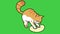 Animation orange cat on green background.