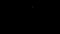 Animation orange light and white stars light Sparklers on black background.