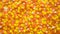 Animation of Orange and Yellow Candy Corn Background