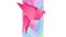 Animation of pink origami bird with pastel swirls on vertical screen, on white background