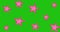 Animation of pink stars pulsating in repetition on green background