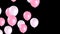 Animation Pink and white balloons float through a black background.