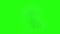 Animation real fire on green screen background