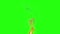 Animation real fire on green screen background