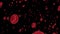 Animation of Red blood cells on black background. 4K