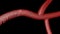 Animation Red formation thrombus Healthcare medical