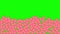 Animation Red icons falling on a green background Chromakey. Counting likes, social media pouring a lot of hearts