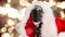 Animation of rerto microphone with santa hat over shining bokeh