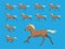 Animation Sequence Missouri Fox Trotter Running Cartoon Vector Illustration