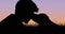 Animation of silhouetted pet dog licking face of male owner over sunset sky