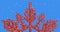 Animation of snow falling over red star christmas decoration on blue background