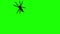 Animation - spiders creepy crawling on green screen background