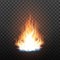 Animation Stage Of Bright Realistic Fire Vector