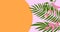 Animation of tropical plant leaves on orange and pink background