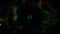 Animation tunnel of flash green light represent warp zone, time travel, space black hole or worm hole with digital number code run