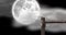 Animation of wooden jetty over full moon and clouds on night sky in background