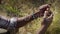 Animation of the words good vibes written in white over man in nature holding tall grass stem