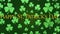 Animation of the words Happy St. Patricks Day written in green letters, with multiple green shamrock clover leaves flying up on gr