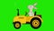 Animation of yellow tractor with Rabbit. Bunny or Hare is a tractor driver. Cartoon tractor moving. Easter. Alpha channel. 4K