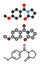 Aniracetam nootropic drug molecule. Stylized 2D renderings and conventional skeletal formula.