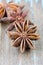 Anise aniseed star