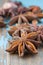 Anise aniseed star