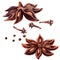 Anise star and cloves isolated