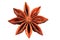 Anise star (spice) isolated