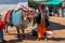 ANJUNA, GOA, INDIA JANUARY 2, 2019: Thumb Up from Holy Indian man Sadhu. He stands close to colorfully decorated bull, holding his