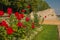 Ankara , Turkey: Beautiful square with red roses and animal sculptures in front of the mausoleum Mustafa Kemal Ataturk