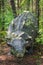 Ankylosaurus dinosaur statue