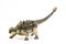 Ankylosaurus   ,dinosaur on white background