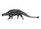 Ankylosaurus. Vector illustration decorative design