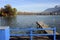 Annecy lake and mountains