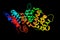 Annexin 2, a protein involved in diverse cellular processes such