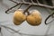 Annona reticulata fruit Custard apple