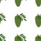 Annona, Soursop. Seamless Vector Patterns