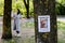 Announcement about the loss of a puppy on a tree. In the background, a woman hangs a poster about a lost dog